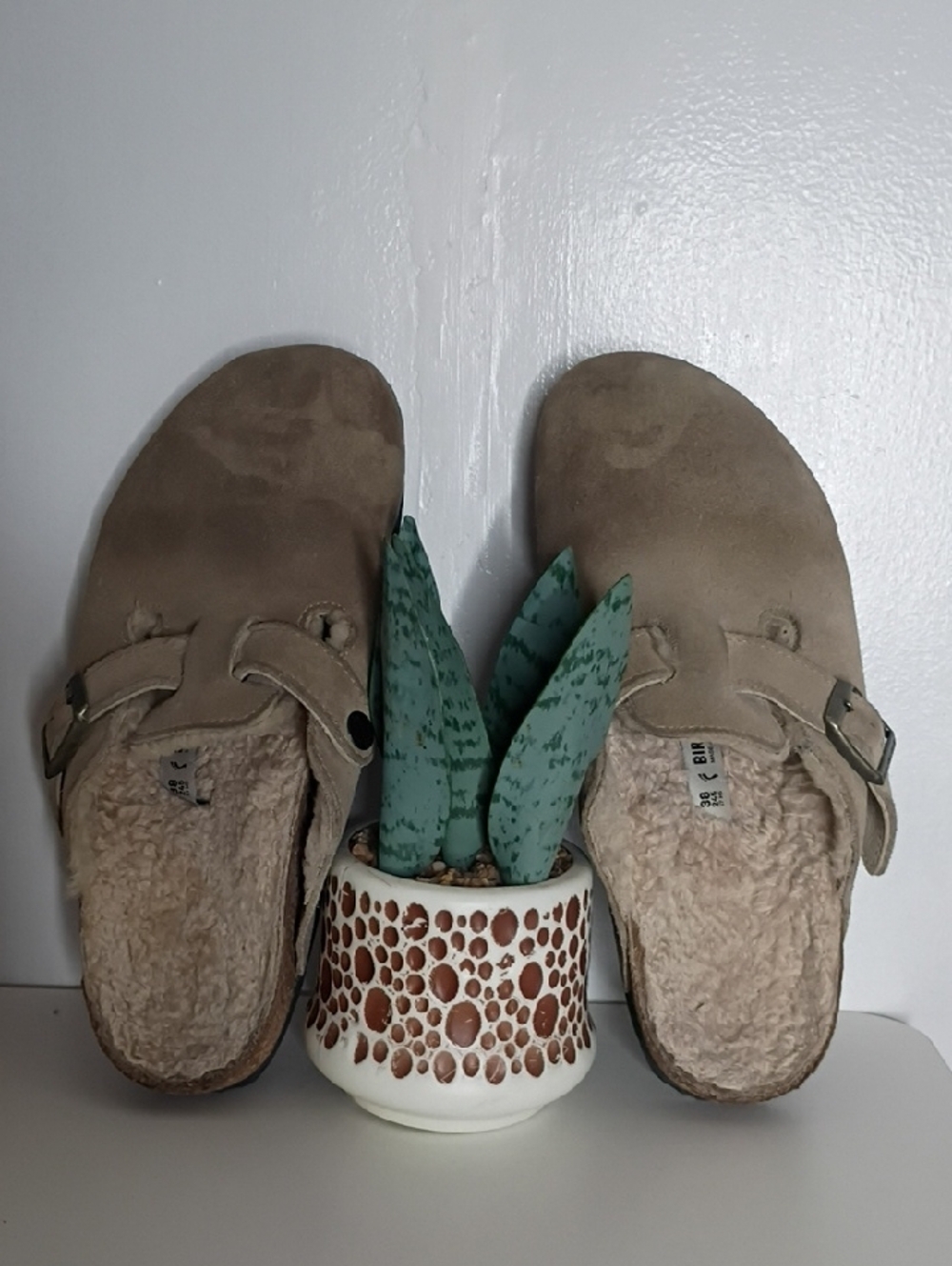 Birkenstock Boston Taupe Suede Clog with Buckle size 38 women's 7 mens 5 Sharpe - Picture 7 of 14